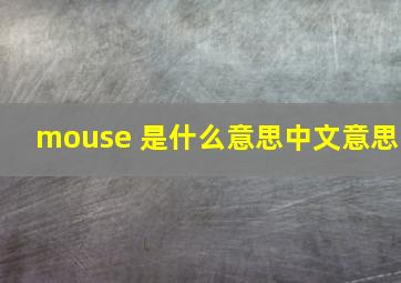 mouse 是什么意思中文意思